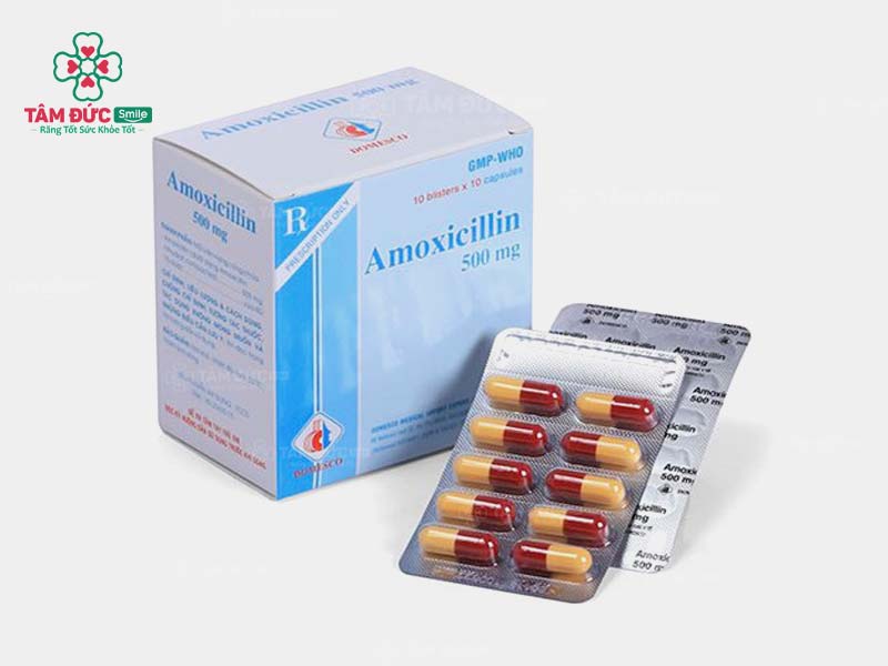 Thuốc kháng sinh Amoxicillin được sử dụng trong điều trị viêm lợi sưng má